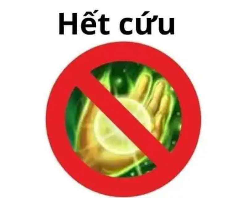 hình ảnh hài bựa meme