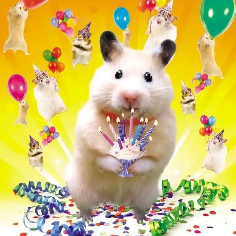 hình ảnh happy birthday meme