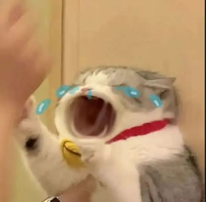 hình ảnh lo lắng meme