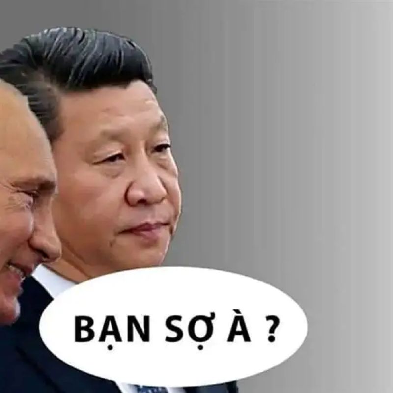 hình ảnh meme bạn sợ à hài
