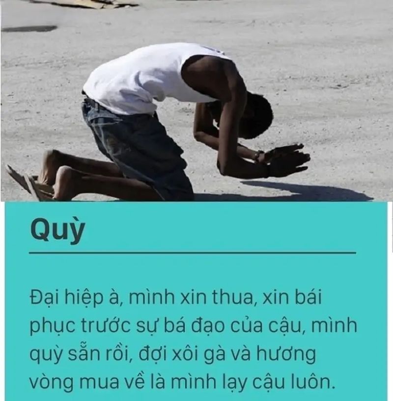 hình ảnh meme bay màu
