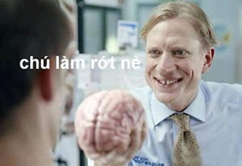 hình ảnh meme bộ não