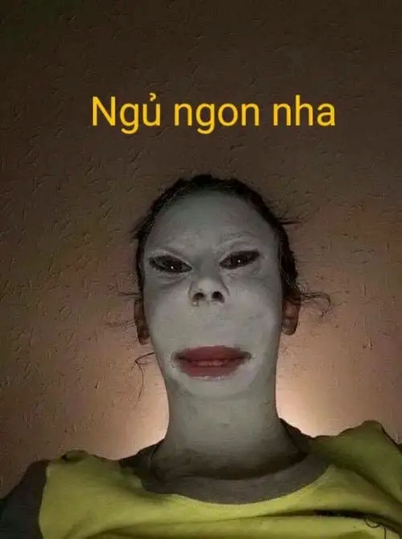 hình ảnh meme bựa nhất