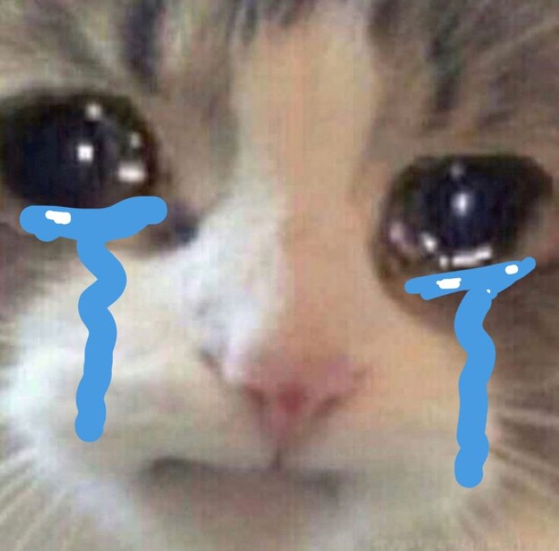 hình ảnh meme buồn khóc