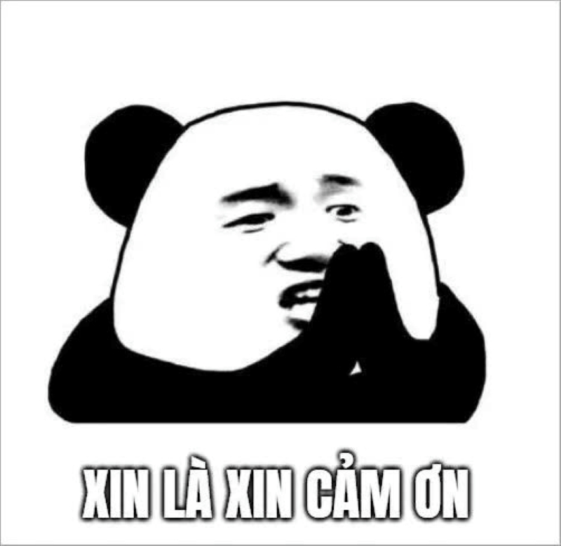 hình ảnh meme cảm ơn cute