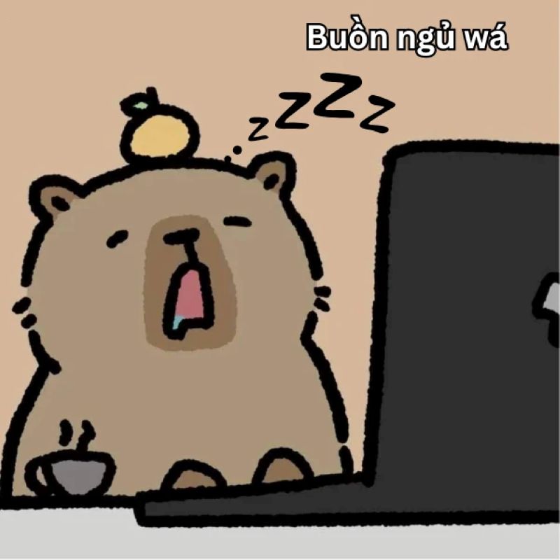 hình ảnh meme capybara hài hước