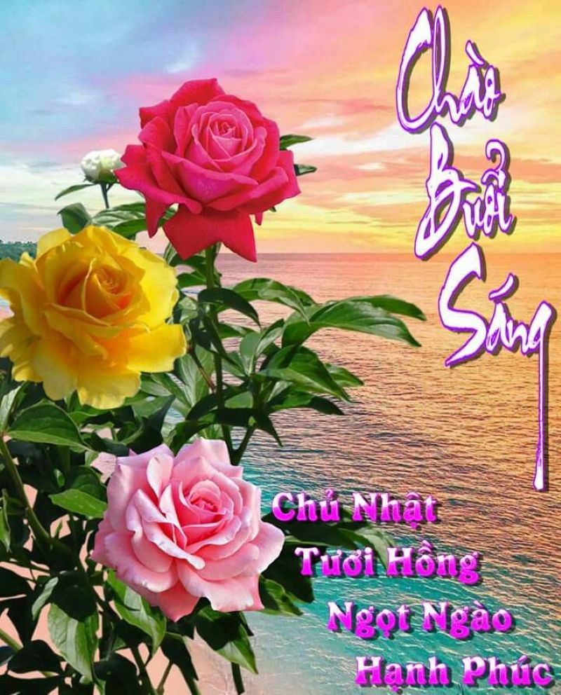 hình ảnh meme chào buổi sáng