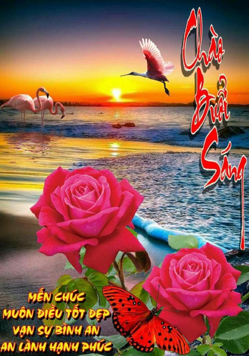 hình ảnh meme chào