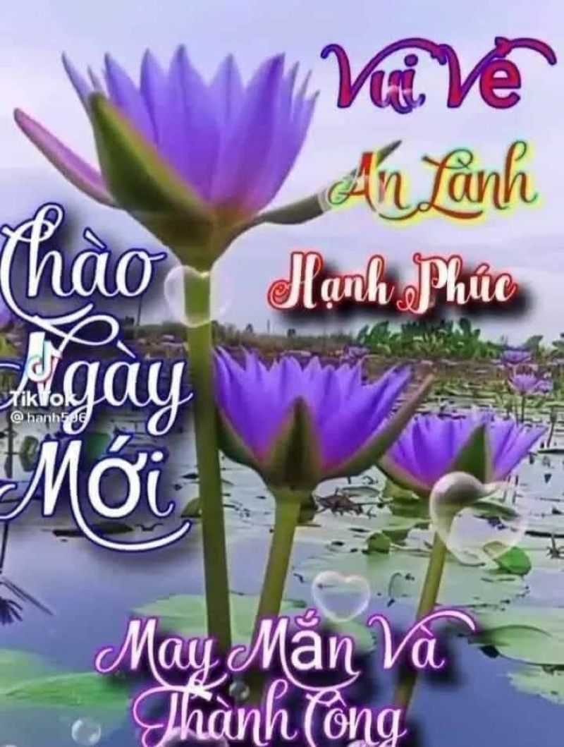 hình ảnh meme chúc buổi sáng hài