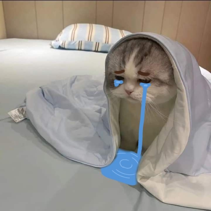 hình ảnh meme đau lòng