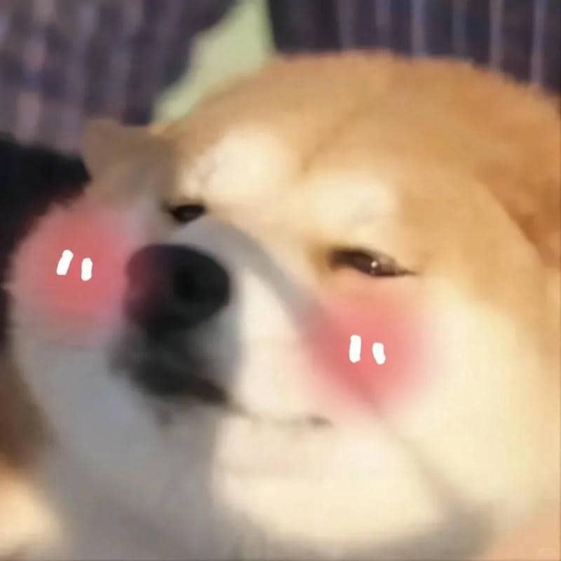 hình ảnh meme dễ thương