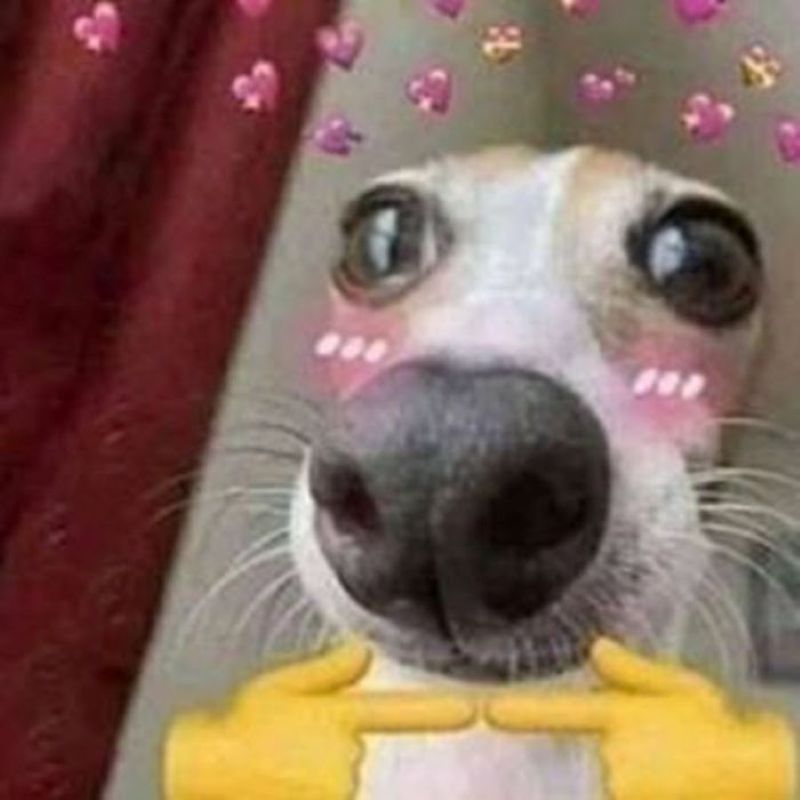 hình ảnh meme đỏ mặt