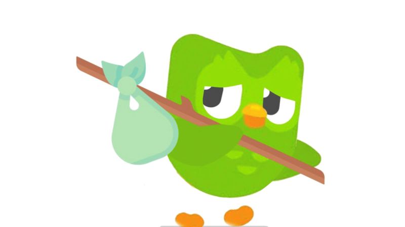 hình ảnh meme duolingo hài