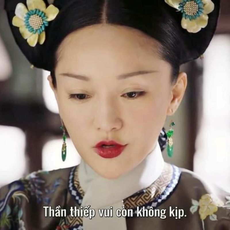 hình ảnh meme hậu cung như ý truyện
