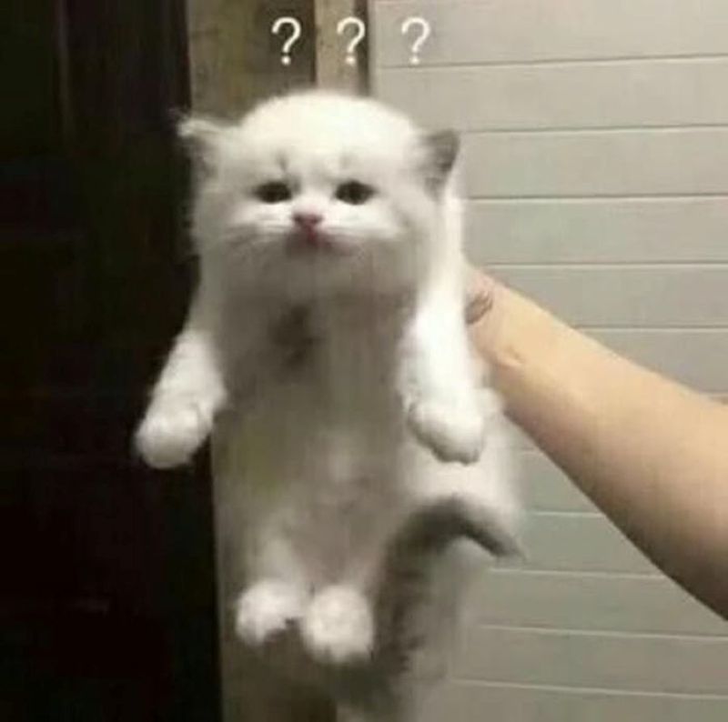 hình ảnh meme ko hiểu hài