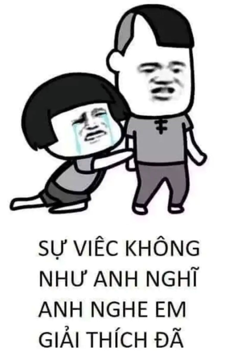 hình ảnh meme lạy