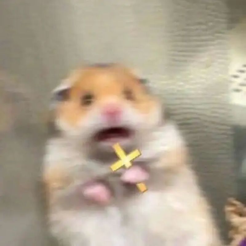 hình ảnh meme lo lắng