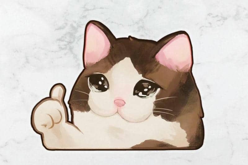 hình ảnh meme mèo ok