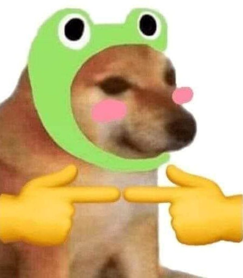 hình ảnh meme ngại