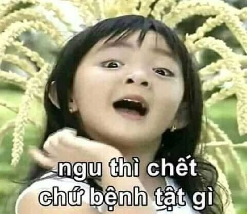 hình ảnh meme ngu