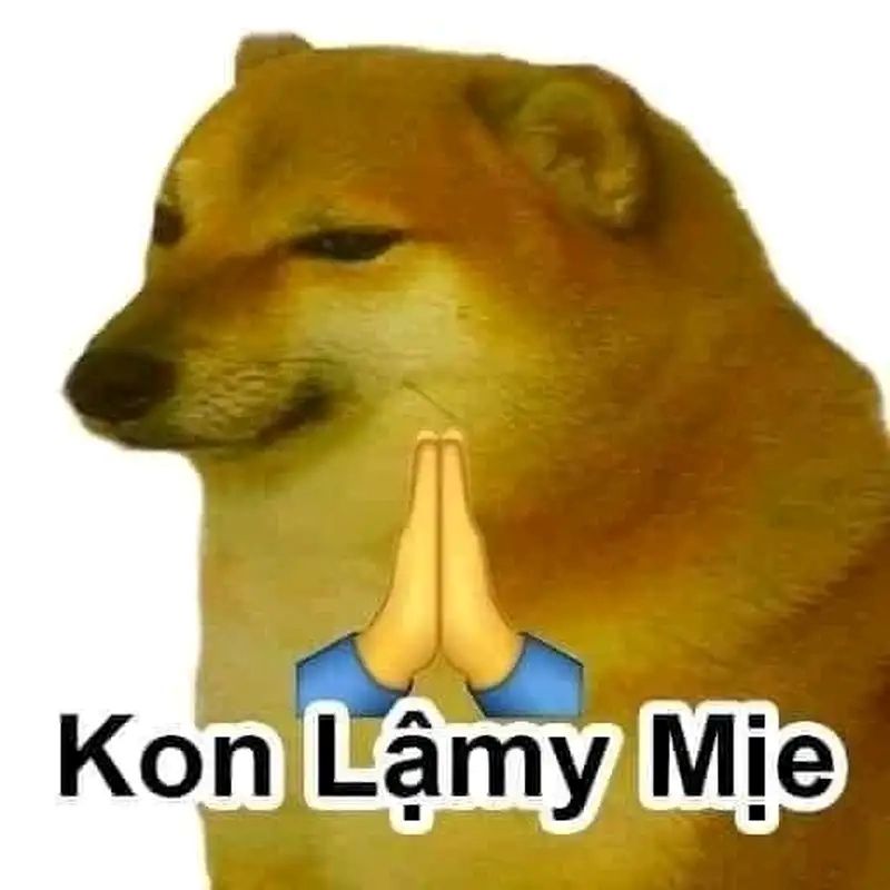 hình ảnh meme quỳ lạy