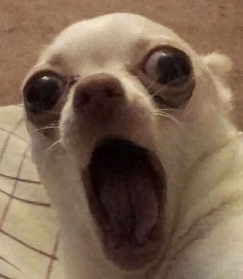 hình ảnh meme sợ hãi