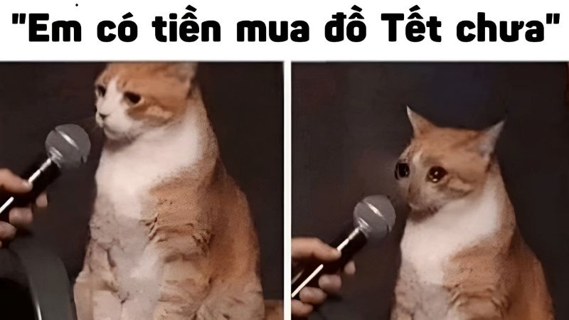 hình ảnh meme tết hài hước