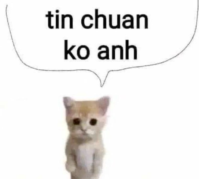hình ảnh meme tin chuẩn chưa anh