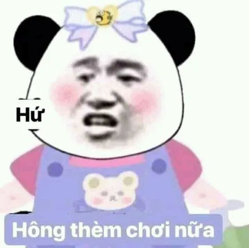 hình ảnh meme từ chối hiểu