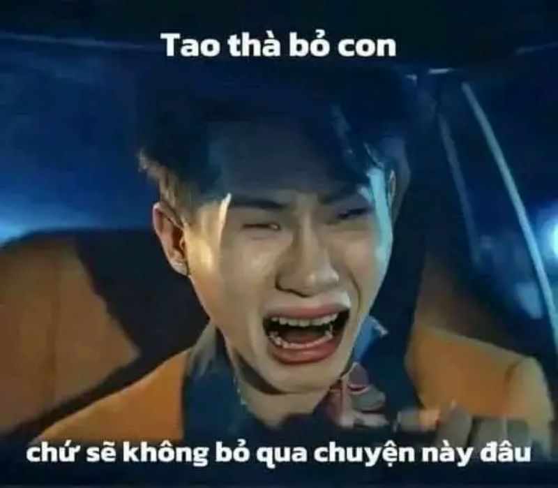 hình ảnh meme