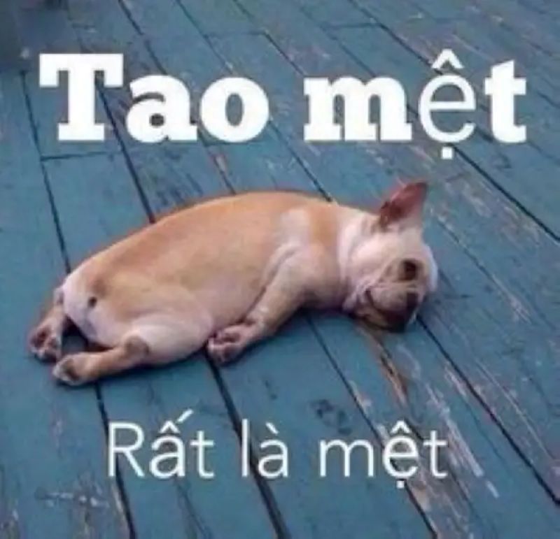 hình ảnh mệt mỏi bất lực