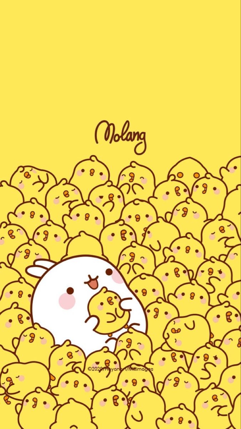 hình ảnh molang cute