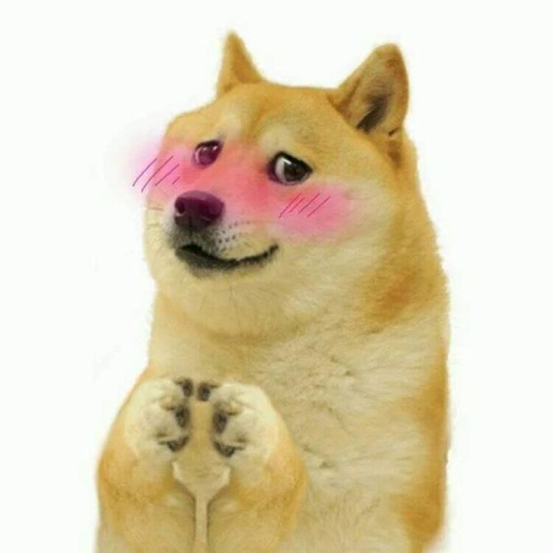 hình ảnh ngại ngùng meme