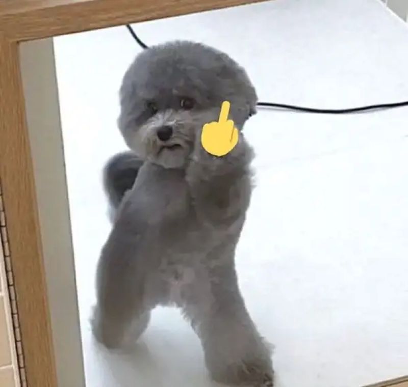hình ảnh ngón tay giữa ngầu nữ