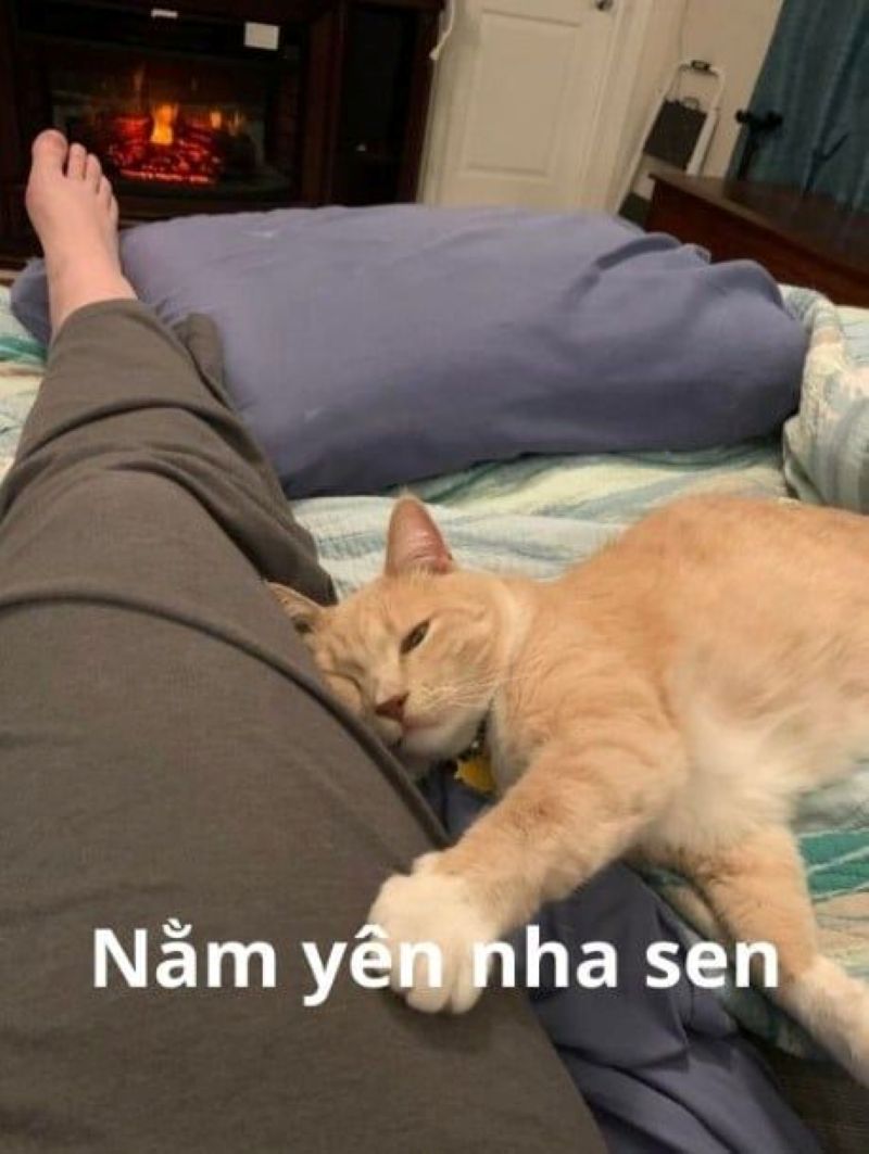 hình ảnh ôm nhau cute