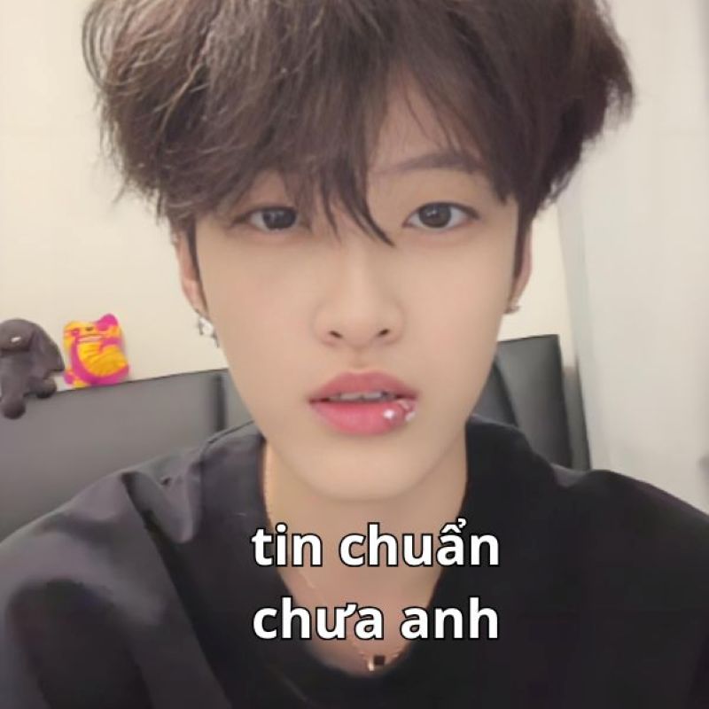 hình ảnh tin chuẩn chưa anh meme