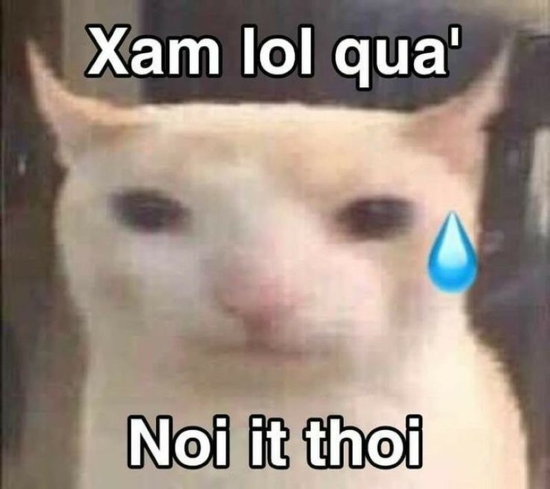 hình ảnh tin chuẩn em nhé