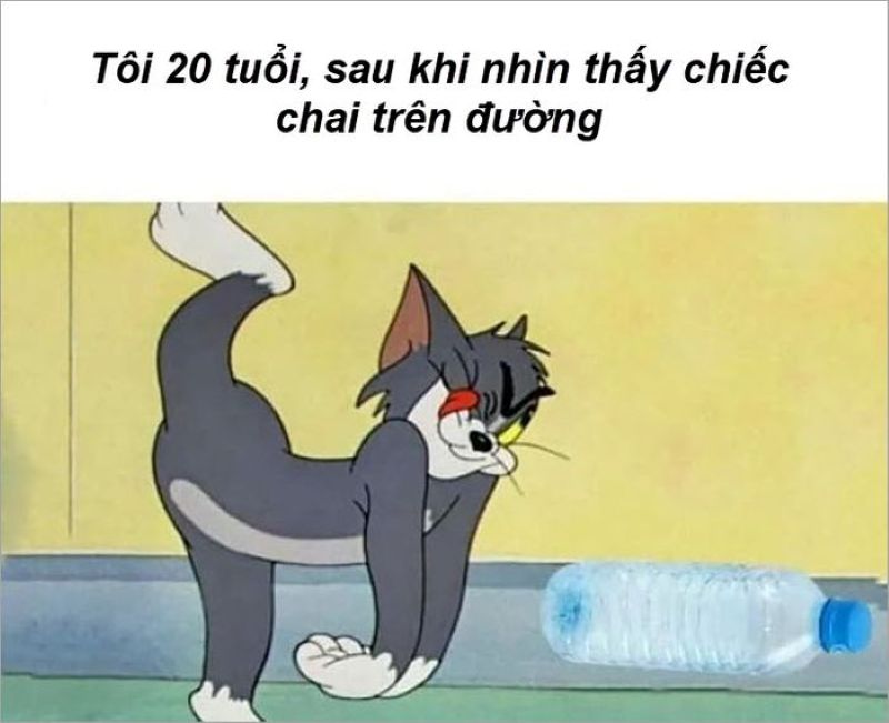 hình ảnh tom và jerry chế