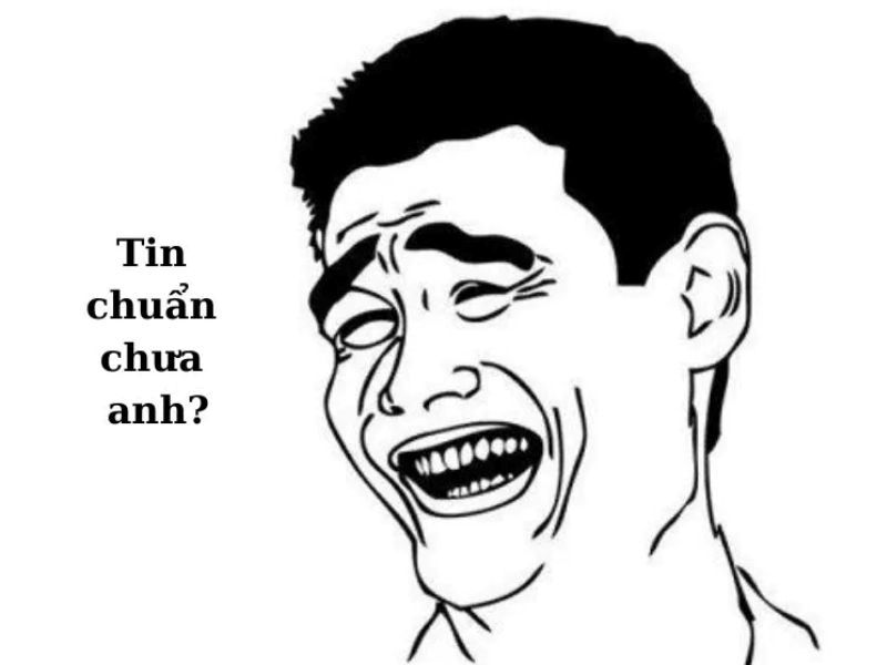 hình ảnh truong anh ngoc meme