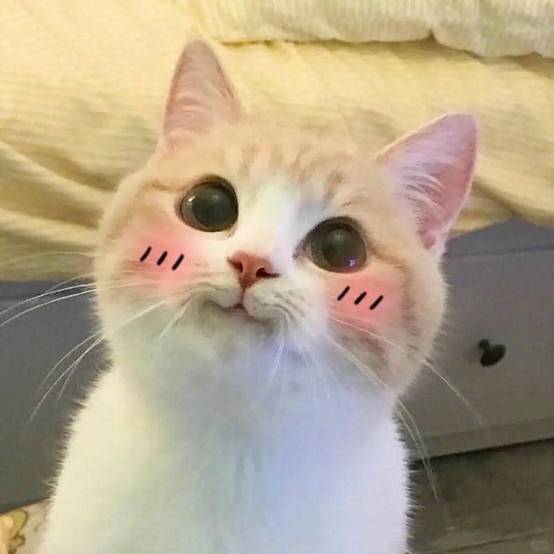 hình ảnh vẽ meme cute