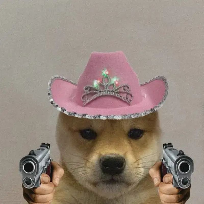 hình cầm súng