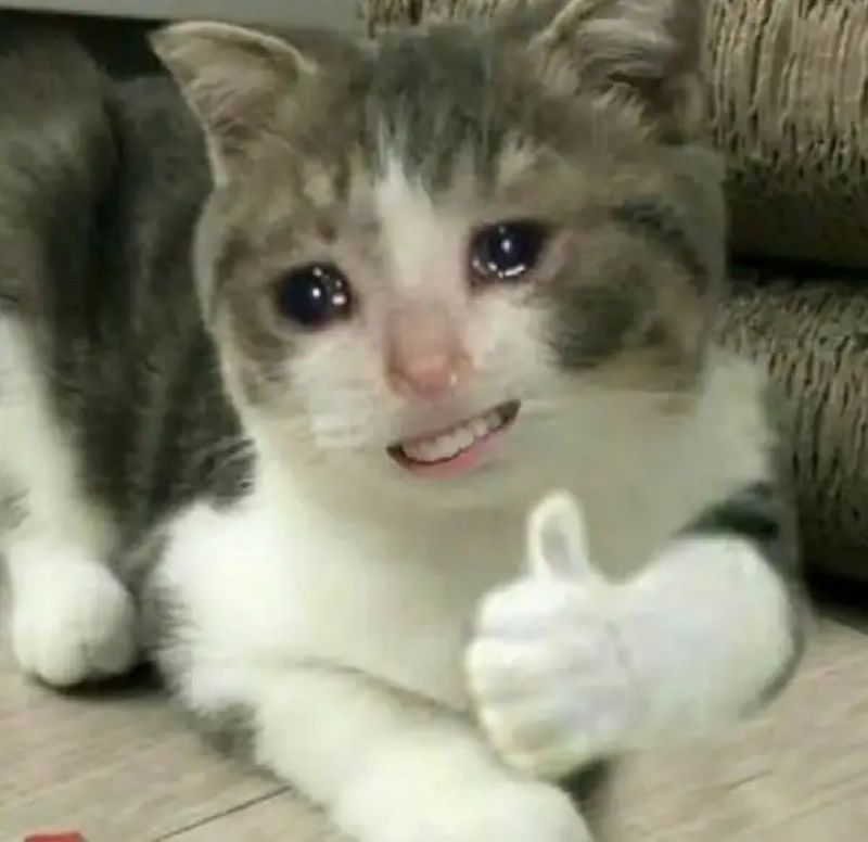 hình chế meme