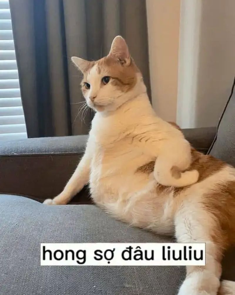 hình chống nạnh