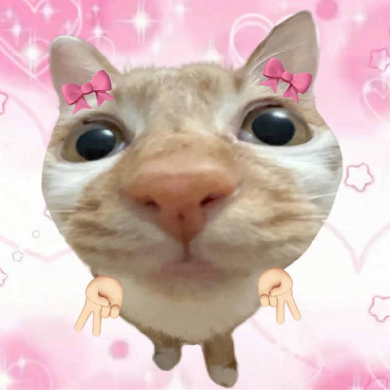 hình cute meme