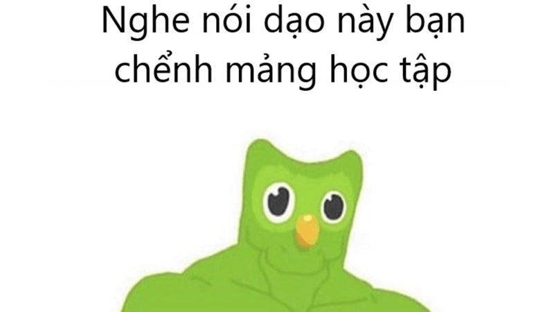 hình duolingo