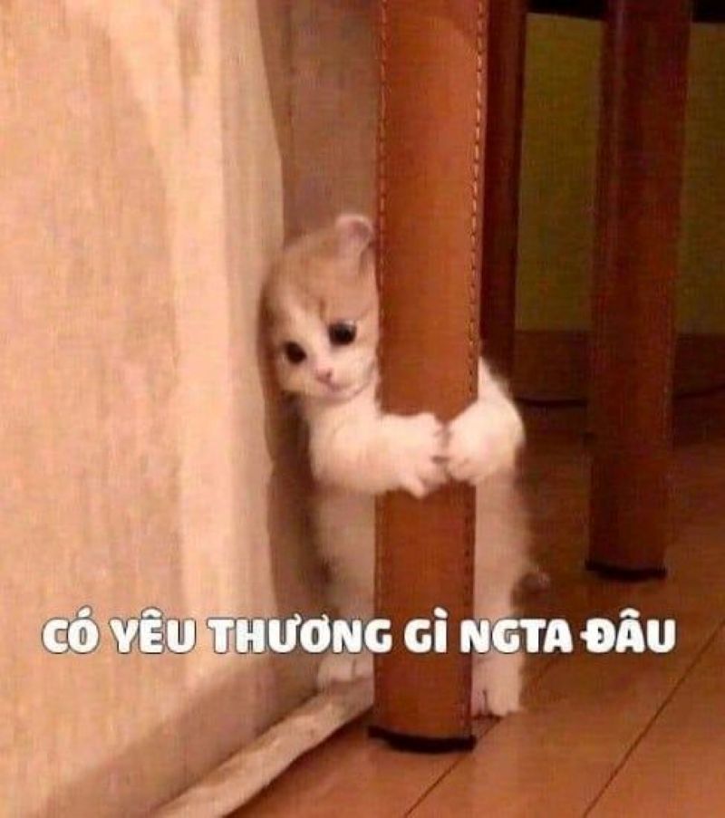 hình giận dỗi dễ thương