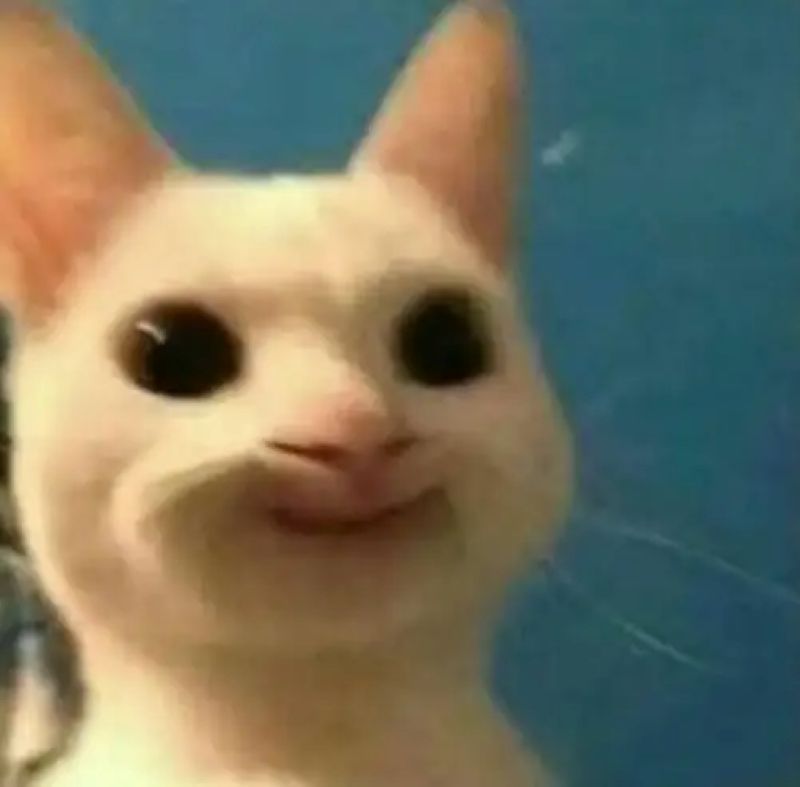 hình hài bựa meme
