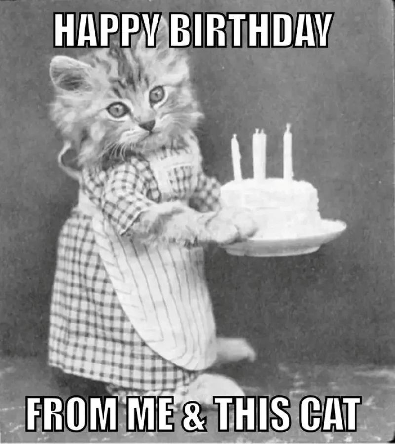 hình happy birthday meme
