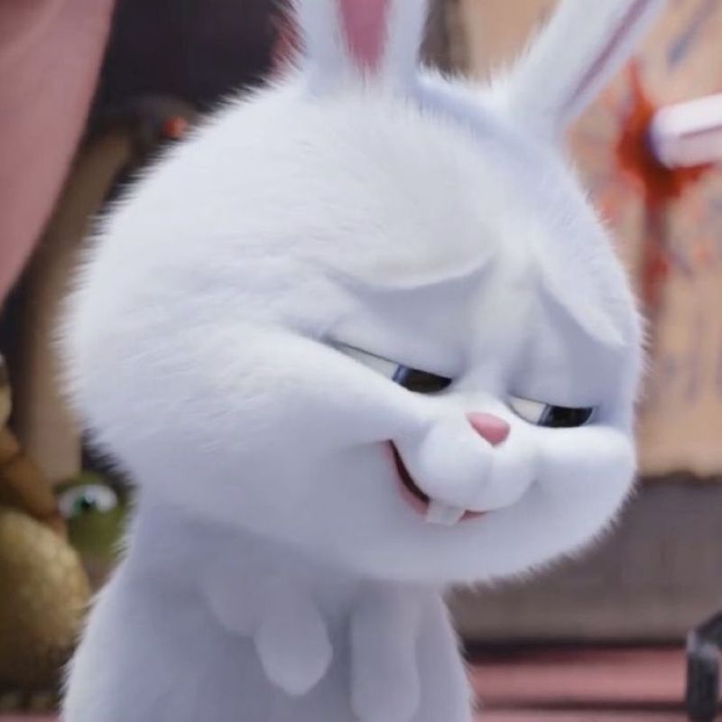 hình icon khinh bỉ