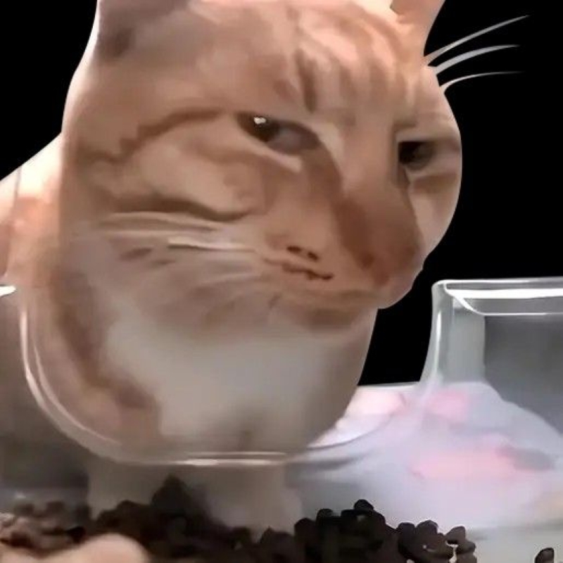 hình me me